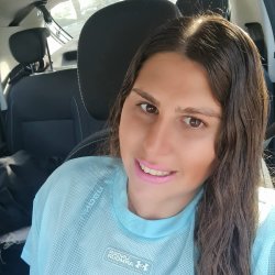 מיטל
